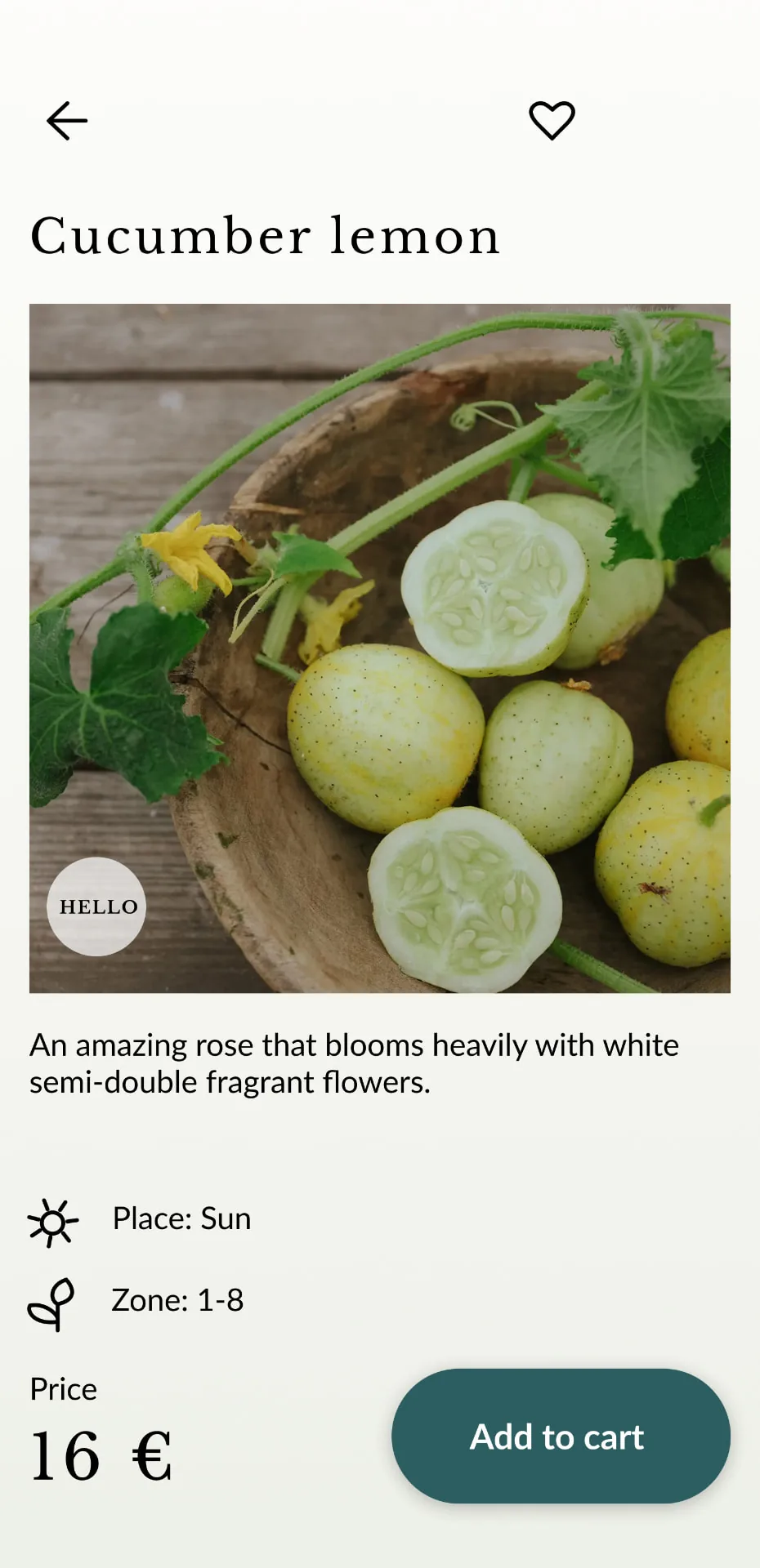 FLOWER product page screen